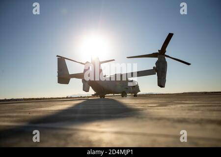 Un MV-22 Osprey (USMC) se prépare à partir pour une mission d'automne libre de haute altitude à ouverture élevée avec 3D reconnaissance Battalion, attaché au 4e Régiment maritime, 3d Marine Division, pendant l'exercice d'entraînement de service 1-21 au Marine corps Air Ground combat Center Twentynine Palms, Californie, le 2 octobre 2020. 3d reconnaissance Battalion a mené des opérations militaires de soutien en vue d’un exercice de manoeuvre de guerre, démontrant leur compétence technique et tactique pendant les opérations du régiment. (É.-U. Photo du corps marin par lance Cpl. Juan Carpanzano) Banque D'Images