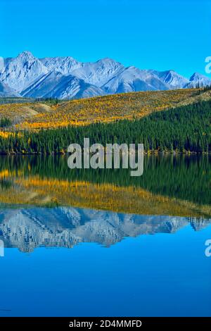 Une belle scène d'automne du feuillage coloré le long du Rive sur la crête de Sincline se reflétant dans les eaux de Talbot lac dans le parc national Jasper Banque D'Images