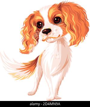 Vector mignon sourire chien cavalier King Charles race Illustration de Vecteur