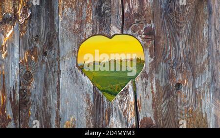 Vignobles le long de la route du vin de Styrie du Sud, une région charmante à la frontière entre l'Autriche et la Slovénie, vue à travers un vieux coeur en bois d'époque Banque D'Images
