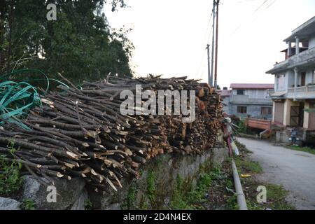 Bois de feu conservé pendant la saison d'hiver dans un village de la vallée externe de Katmandou, au Népal. Banque D'Images