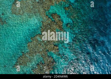 Récif et côte de corail de la mer Rouge, vue aérienne. Banque D'Images