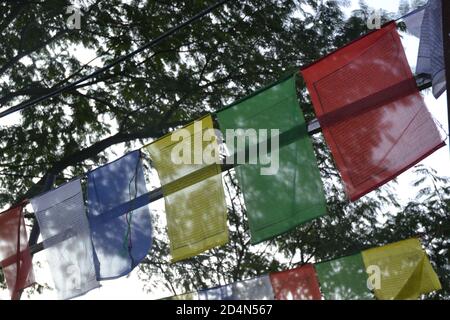 La nature à son meilleur. Nuages, arbres, collines, forêt, greenary, ciel bleu et bien plus encore. Banque D'Images