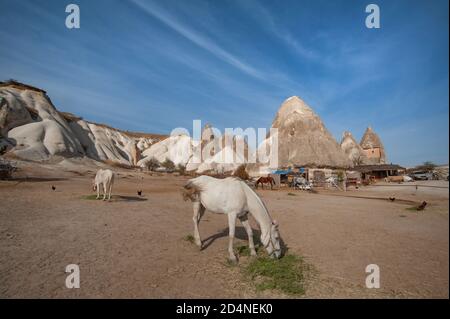 Cappadoce, Turquie. 8 novembre 2017 Lucky Horse Ranch est niché parmi les cheminées de fées dans une vallée juste derrière la ville Cappadocienne de Goreme Banque D'Images