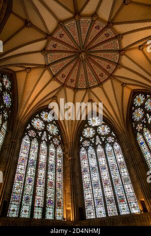 Royaume-Uni, Angleterre, Yorkshire, York Minster, Chapter House, fenêtres et toit Banque D'Images