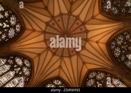 Royaume-Uni, Angleterre, Yorkshire, York Minster, Chapter House, détail du toit Banque D'Images