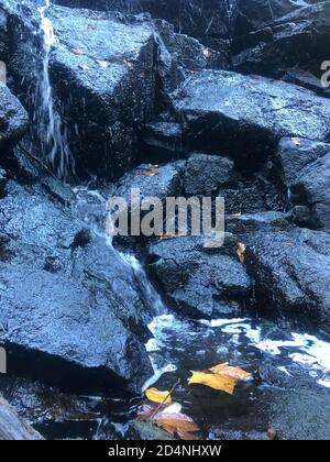 L'eau déverse de magnifiques rochers noirs avec des feuilles d'automne jaunes. Banque D'Images