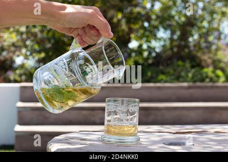 Une main femelle tenant une carafe en verre gravé avec sain jus maison et feuilles de menthe à côté d'un verre à l'extérieur dans un environnement naturel sur un d ensoleillé Banque D'Images