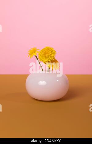 Fleurs de pissenlit jaune dans un vase en verre rond de couleur rose sur une surface marron et un fond rose. Décor optimiste, édifiant et happ Banque D'Images