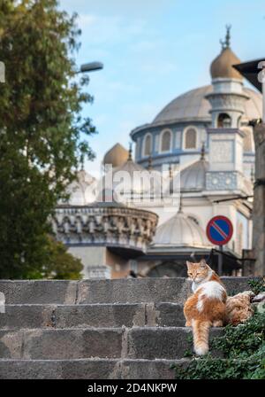 Konak, le centre culturel, artistique et de divertissement de İzmir, est fréquenté par les touristes locaux et étrangers. Banque D'Images