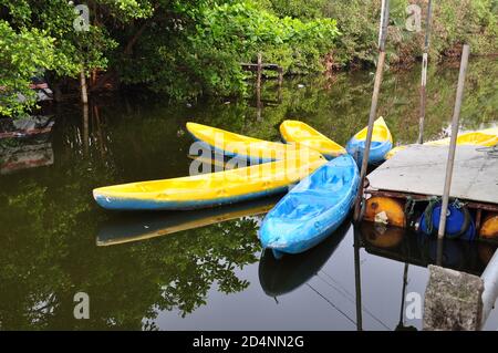 Des kayaks en plastique bleu et jaune amarrés contre une jetée en bois rustique sur un canal d'eaux calmes. Banque D'Images
