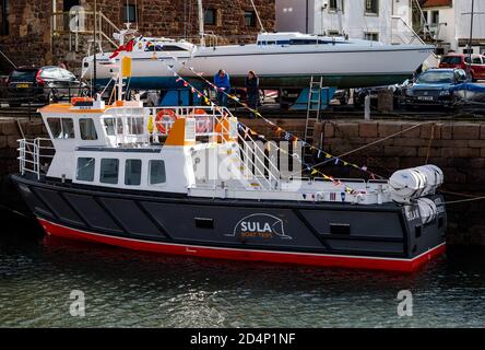 North Berwick, East Lothian, Écosse, Royaume-Uni, 10 octobre 2020. Météo au Royaume-Uni : soleil et nouveau bateau touristique. Sula III remplace Sula II et est arrivé il y a quelques jours décoré de pennants colorés, il a un système gyro sophistiqué dans sa coque qui lui permet de gérer la houle dans le Firth extérieur de Forth. Il offrira aux visiteurs un service de ferry pour Anstruther ainsi que des excursions en bateau vers les îles. Sula III a été conçu par Murray Cormack Naval Architects à Argyll, et construit par Alutec Marine Ltd à Balcardine, près d'Oban; sa livraison a été retardée par la pandémie de Covid-19 Banque D'Images