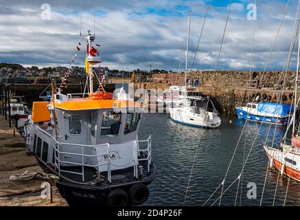 North Berwick, East Lothian, Écosse, Royaume-Uni, 10 octobre 2020. Météo au Royaume-Uni : soleil et nouveau bateau touristique. Sula III remplace Sula II et est arrivé il y a quelques jours décoré de pennants colorés, il a un système gyro sophistiqué dans sa coque qui lui permet de gérer la houle dans le Firth extérieur de Forth. Il offrira aux visiteurs un service de ferry pour Anstruther ainsi que des excursions en bateau vers les îles. Sula III a été conçu par Murray Cormack Naval Architects à Argyll, et construit par Alutec Marine Ltd à Balcardine, près d'Oban; sa livraison a été retardée par la pandémie de Covid-19 Banque D'Images