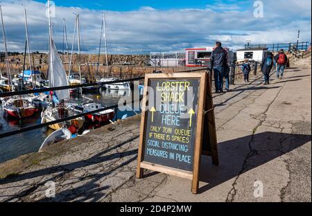 North Berwick, East Lothian, Écosse, Royaume-Uni, 10 octobre 2020. Météo au Royaume-Uni : le populaire Lobster Shack attire les clients parmi les bateaux à voile colorés dans le port par une journée venteuse avec un tableau d'affichage conseillant aux clients de maintenir leurs distances sociales dans la file d'attente Banque D'Images