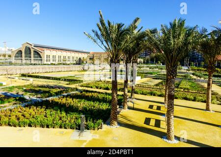 Central Park Ruzafa Valencia les anciens locaux de la gare ferroviaire sont transformés en un jardin de parc de la ville avec des palmiers Banque D'Images