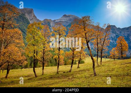 Au Tyrol - à l'automne : Grosser Ahornboden Banque D'Images