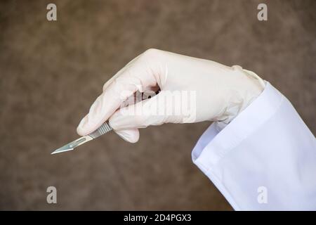 Couteau de chirurgie dans la main de médecins. Équipement de fonctionnement, main, gant et lame sur fond gris. Banque D'Images