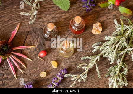 Trois bouteilles d'huile essentielle avec encens, vert hivernal, santolina, lavande et autres herbes Banque D'Images