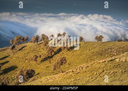 Formations de nuages sur les montagnes Simien en Éthiopie Banque D'Images