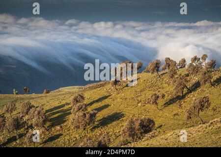 Formations de nuages sur les montagnes Simien en Éthiopie Banque D'Images