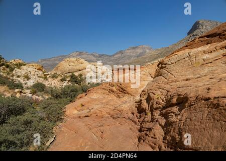 Vue ensoleillée sur le Calico Tanks Trail de Red Rock Canyon National conservation Area au Nevada Banque D'Images