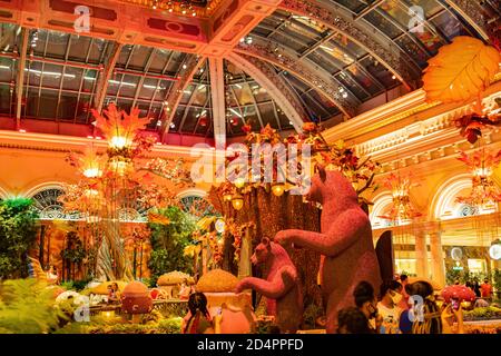 Las Vegas, 25 septembre 2020 - vue de nuit sur le conservatoire du Bellagio et les jardins botaniques Banque D'Images