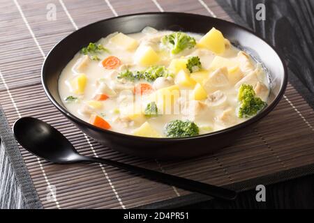 Ragoût blanc fait de sauce au béchamel avec poulet, carottes, pommes de terre, oignons et champignons gros plan dans un bol sur la table. Horizontale Banque D'Images