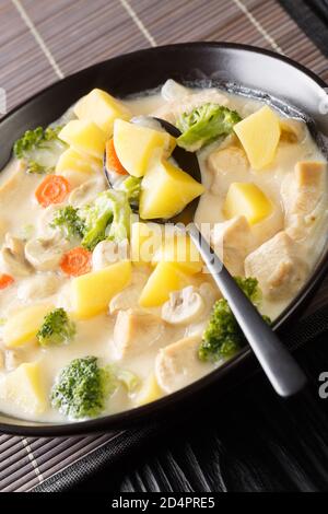 White Cream Stew est un ragoût japonais classique fait avec du poulet, des champignons et des légumes dans un bol sur la table. Verticale Banque D'Images