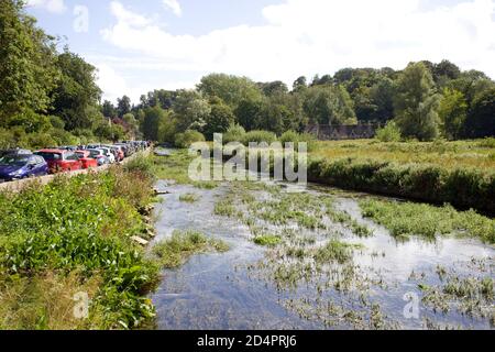 River Coln avec Arlington Row en arrière-plan, Bibury, Gloucestershire, Angleterre Banque D'Images