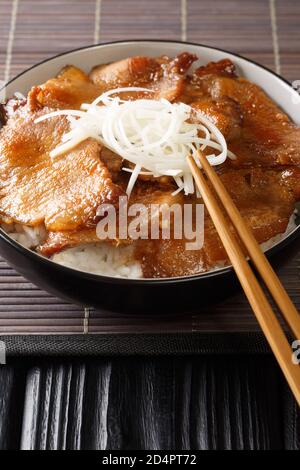 Bol à riz de porc japonais Butadon gros plan dans un bol sur la table. Verticale Banque D'Images