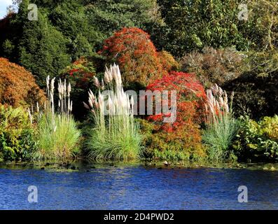 Crawley, Royaume-Uni. 07e octobre 2020. Feuillage coloré sur le côté du lac à Crawley.Autumn couleurs dans les jardins à Wakehurst place et Standen House autour de Crawley. Crédit : SOPA Images Limited/Alamy Live News Banque D'Images