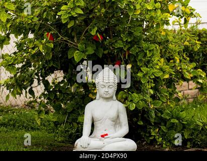 statue de bouddha dans notre jardin avec posture de méditation Banque D'Images