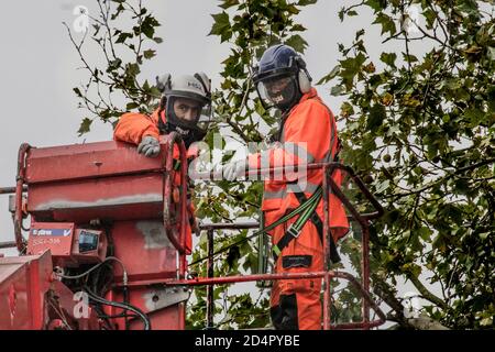 Londres, Royaume-Uni, 10 octobre 2020. Les travailleurs ont coupé les derniers arbres laissés près de la nouvelle ligne de train à grande vitesse à Hampstead Rd., City of London, England, UK, le 10 octobre 2020. Pendant ce temps, Larch Maxey, écologiste de longue date et protecteur d'arbres de la rébellion HS2 et de LA CAMPAGNE STOP HS2, se tient sur l'un des rares arbres restants depuis quatre jours. Crédits: Sabrina Merolla / Alamy Live News. Banque D'Images