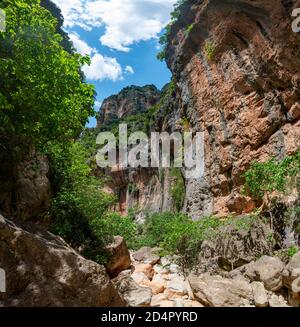 Arbres verts dans la gorge, falaises abruptes de la Garganta Verde, Sierra de Cádiz, province de Cádiz, Espagne, Europe Banque D'Images