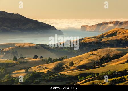 Brouillard marin au lever du soleil, Océanie, péninsule Banks, Canterbury, Île du Sud, Nouvelle-Zélande, Océanie Banque D'Images