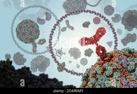 Anticorps humain (rouge) attaquant un virus en se liant à un site spécifique puis en inhibant la fonction du virus. Banque D'Images