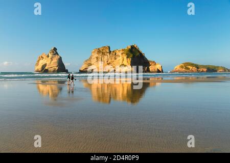 Wharariki Beach au coucher du soleil, Océanie, Golden Bay, Tasman, Île du Sud, Nouvelle-Zélande, Océanie Banque D'Images