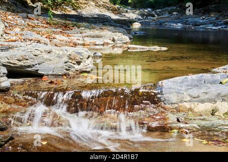 cascade de rapides sur une rivière de montagne calme dans un canyon boisé ombragé Banque D'Images