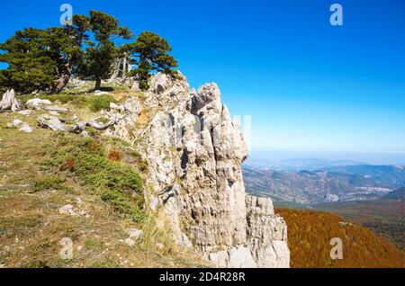 Pins bosniaques au sommet de la montagne Serra di Crispo (jardin des dieux), parc national de Pollino, montagnes Apennine du sud, Italie. Banque D'Images