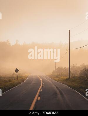 Brouillard sur une route à Lubec, Maine Banque D'Images