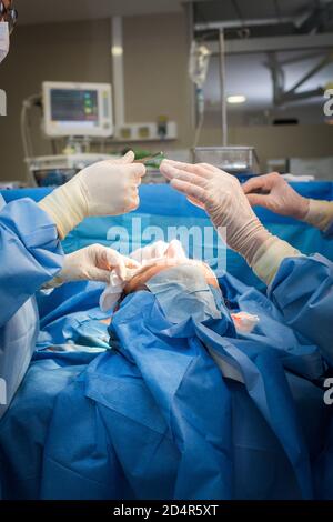 Blépharoplastie, chirurgie pour enlever les sacs de sous ses yeux, France. Banque D'Images