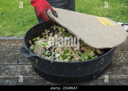 Épluchage de légumes dans un bac à vermicompost. Banque D'Images