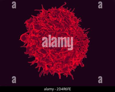 T Lymphocyte Micrographe électronique à balayage colorisé d'un lymphocyte T. Crédit: NIAID ; créations: NIAID Banque D'Images