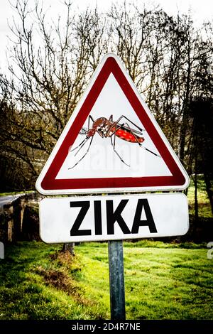 Signe d'avertissement, image conceptuelle sur les risques de piqûres de moustiques zika. Banque D'Images