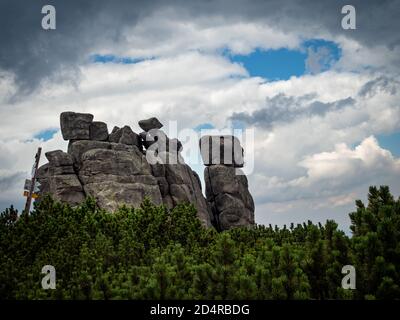 Formation de roches appelée Slonecznik (tournesol) dans les monts Karkonosze. Pologne Banque D'Images