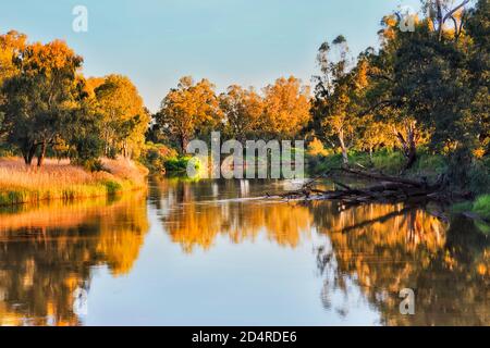 Arbres et herbes pittoresques sur les rives de la rivière Macquarie dans la ville de Dubbo, dans les plaines occidentales de l'Australie - Nouvelle-Galles du Sud. Banque D'Images