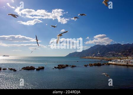 Paysage idyllique sur la mer Tyrrhénienne . Vue depuis la côte de Salerno om Amalfo et les mouettes et le bateau à distance. Gros navires au port de cargaison de Salerno à fa Banque D'Images