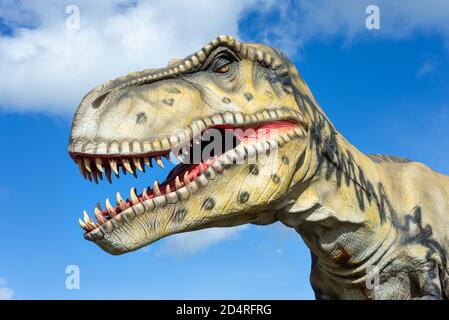 T Rex Dinosaur Model au parc animalier de Wingham, Kent, Angleterre. Banque D'Images