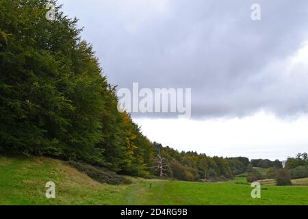 Bois sur la vallée peu profonde de la rivière Darent comme il émerge comme un ruisseau d'une source au sud de Westerham. Courbe de bois, ciel gris, Kent, Angleterre, vert Banque D'Images