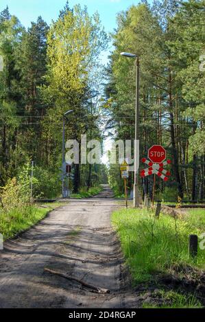 Belle photo d'une route dans un paysage forestier traversant un chemin de fer Banque D'Images